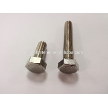 stainless steel hex cap screw/ stainless steel hex bolt/ stainless steel bolt (A4,A2)